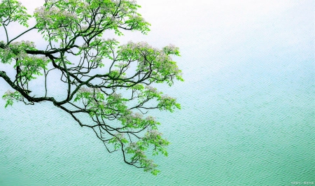王维风格清丽的送别诗，最后两句余音袅袅传颂了千年(王维最有名的送别诗是哪首)
